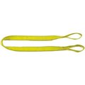 Liftex Coporation Liftex Pro-Edge 3inW 6'L 2 Ply Eye & Eye Poly Web Sling Twisted Eyes TE293X6PD